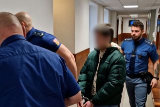 Mladý Rus umlátil kladivem muže, který mu poskytl střechu nad hlavou. Vrchní soud mu zpřísnil trest na osm let - Novinky