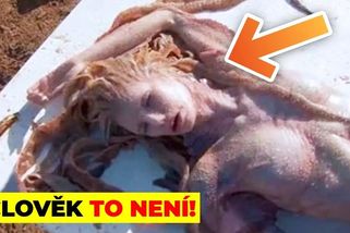 Moře nedávno vyplavilo záhadného tvora, vědci jsou bezradní | To nejlepší ze světa