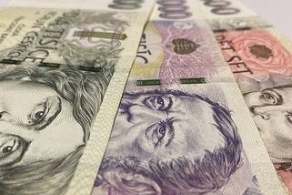 Střední třída v Česku: Patříte k ní? Poznáte to podle příjmu i podle bydlení