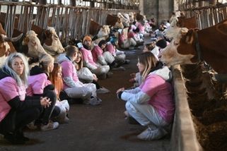 Na Havlíčkobrodsku obsadili aktivisté kravín kvůli podmínkám chovu zvířat