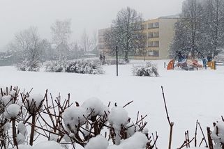 Sníh a silný vítr. Do Česka dorazí zima se vším všudy - Novinky