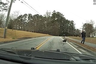 Nespolupracující krocan v USA vyvolal u policistů záchvaty smíchu - Novinky