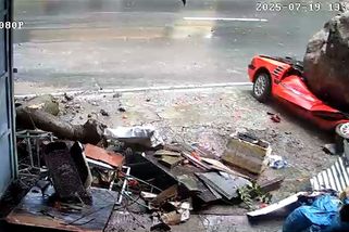 Pes jako zázrakem přežil sesuv 30tunového balvanu, který rozdrtil zaparkované auto - Novinky