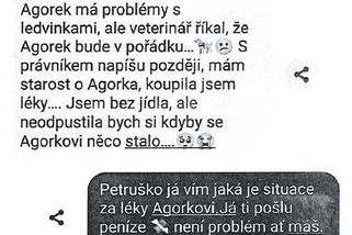 „Agorka trápí ledvinky, nemám na jídlo.“ Falešná hra na city stála muže z Karvinska půl milionu - Novinky