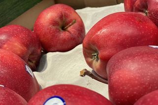 Jen oloupat nestačí. Pesticidy v jablkách zůstávají i po uvaření