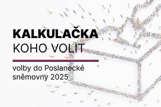 Měsíc do voleb. Kalkulačka - koho volit, rozšířená verze - Novinky