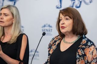 Lidovecká senátorka: Argument, že rodina je muž, žena a děti, dávno neobstojí - Seznam Zprávy