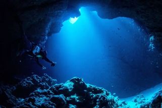 Na dně Mariánského příkopu byl objeven nový virus