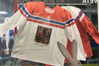 Pavel Zacha si po letech odmítání nezaslouží místo v národním týmu - Médium.cz