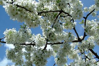 i60.cz: Můj krásný seniorský den