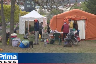 VIDEO: Romští běženci z Ukrajiny stanují v Praze 9. Je to zcela nevhodné, zlobí se místostarosta