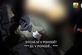 Zloděj v Plzni se vrhl s nožem na muže, který ho načapal při vloupání do auta. Žalobce žádá pět let - Novinky