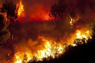 Historické slyšení začíná. Česko čelí další žalobě kvůli klimatu - Seznam Zprávy