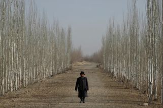 Čína obkličuje druhou největší poušť světa zelenou zdí. Už zachytává oxid uhličitý