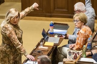 Proč máme tak málo mladých poslanců