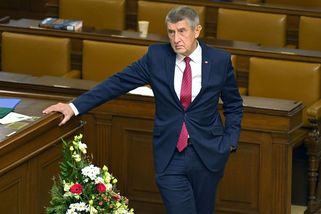 Babiš: Turek ministerstvo řídit nebude - Novinky