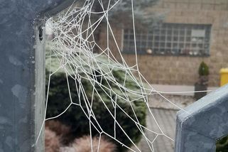 Volební právo podle IQ. Plán vládní koalice notně rozrušil obyvatelstvo - Médium.cz