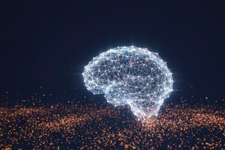 Emergence: kdy se z hloupých částí stane chytrý celek - Médium.cz