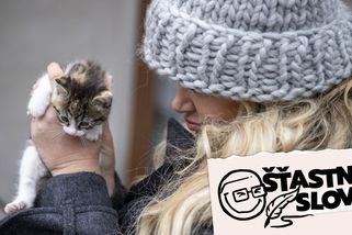 „Když zvolí Pavla, budeme tu mít totalitu.“ Ne, nebudeme - Seznam Zprávy