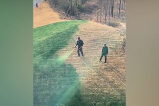 V Číně nabarvili trávník nazeleno. Byly to živiny, vysvětlila radnice - Novinky