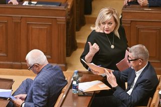 Babiš by mohl být premiér, říká Schillerová - Novinky