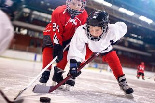 Bitky na ledě při hokeji pro osmileté. Tým ukazuje prstem na děti - Seznam Zprávy