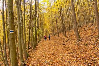 Našla jsem zapomenutou vesnici v Jeseníkách. Turisté ji míjí, ale atmosférou předčí známá města - Médium.cz
