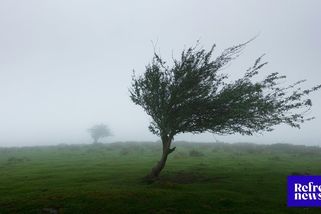 MAPA: V Česku udeří silný vítr. Kde hrozí nebezpečí a na co si dát pozor?