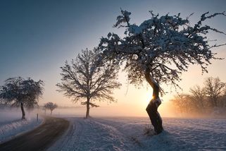 Příběh, proč byste neměli zvyšovat hlas na děti - Médium.cz