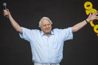 Přišel, vytvořil rekord, odešel. David Attenborough opouští Instagram - Novinky