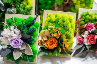 Tyhle okrasné rostliny jsou živé, a přesto deset let nepotřebují ani kapku vody. Je to díky pokročilé technologii