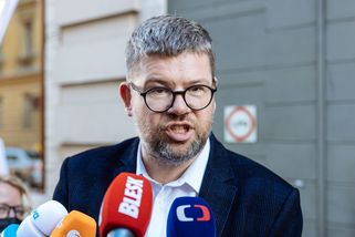 Splynout s ODS, nebo zahynout: TOP 09 čelí rébusu, který nemá snadné řešení