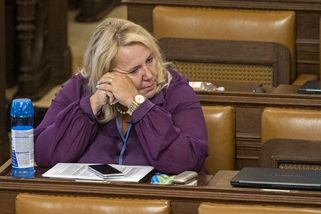 Dostálová z ANO je novou místopředsedkyní Sněmovny - Seznam Zprávy