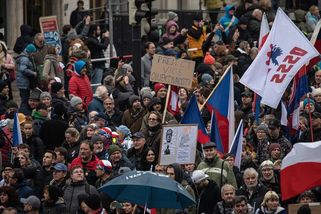 Támhle ten parchant cikánskej, napadl demonstrant reportéra České televize - Novinky