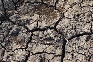 Českou krajinu čeká změna. Zemědělci budou muset ornici zakrývat