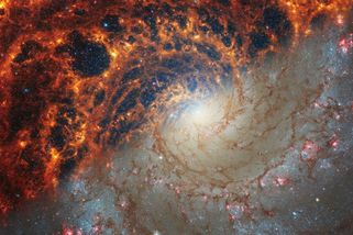 Webbův teleskop pořídil zatím nejdetailnější snímky devatenácti spirálních galaxií - Novinky