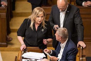 „Jednou z toho bude film.“ Blažek uznal chybu a omluvil se poslancům - Seznam Zprávy