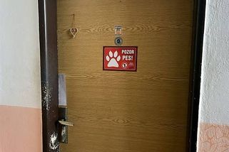 Flašky létají, pes kvílí, sousedé se bojí. Příbor řeší nejhoršího nájemníka