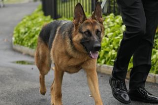 Dokousal. Bidenův Commander musel z Bílého domu - Novinky