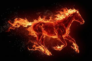 National Geographic | Ohnivý kůň přichází jednou za 60 let a přináší s sebou strach z pradávné asijské pověry