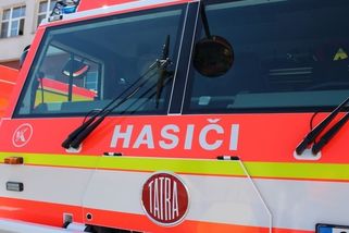 Pomoc, škrtí mě had. Hasiči na Karlovarsku zachránili chovatele v zajetí krajty - Novinky