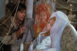 Dětská hvězda Antonín Navrátil kvůli Bohdalové skončil s herectvím. Dnes bojuje o dceru