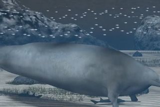 Vědci možná našli nejtěžší zvíře na planetě. Podívejte se, jak vypadalo - Seznam Zprávy