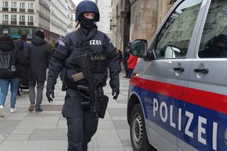 Razie ve Vídni. Sedmnáctičlenný gang je podezřelý ze sexuálního zneužívání 12leté dívky - Novinky