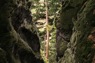 Procházka muže a jeho psa skončila ve skalní štěrbině