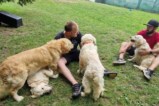 Jsou nedomazlení. Devět psích kluků poznává lásku - Médium.cz