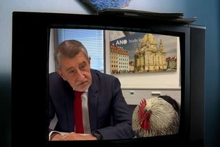 Super vtip: Andreje Babiše a jeho duševní zdraví už řeší i Jiří Macháček. Snad se zasměje i expremiér a jeho drůbež - Super.cz