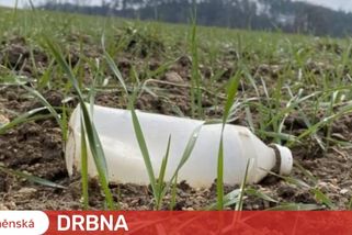 Vědci z Brna zkoumají ukládání mikroplastů v zemědělství. Testují půdu, plodiny i drůběž