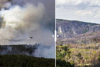 Před a rok poté: Jak změnil loňský požár České Švýcarsko? - Seznam Zprávy