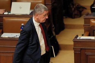 Nevydáním Babiše kauza Čapí hnízdo nekončí. Průtahy mohou mít vliv i na trest - Novinky